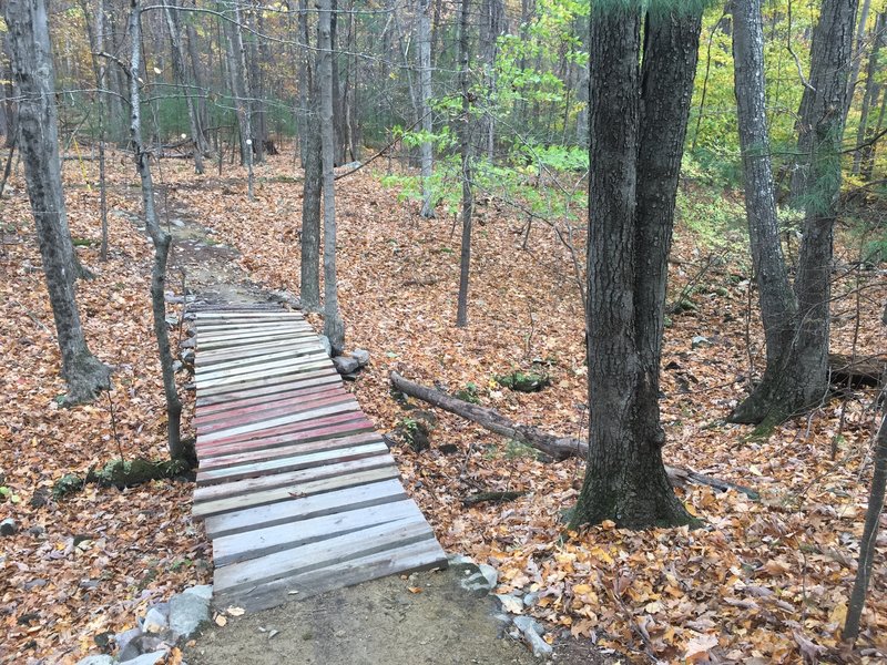 Bridge near the intersection with three other trails.