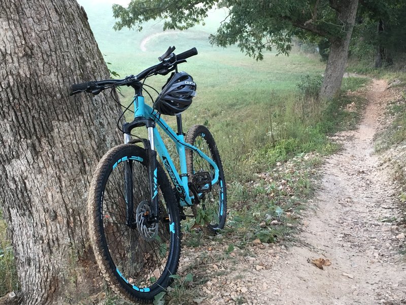 North/Homerun Trail at Two Rivers. Going up this trail feels like a steady climb but going down is a whole other experience.