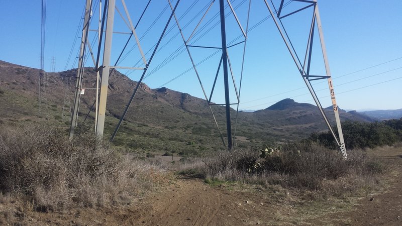 Hawk Canyon Trail begins just below the tower