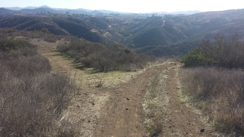 Where the new bypass and the current trail split. The new bypass was built in October 2016.