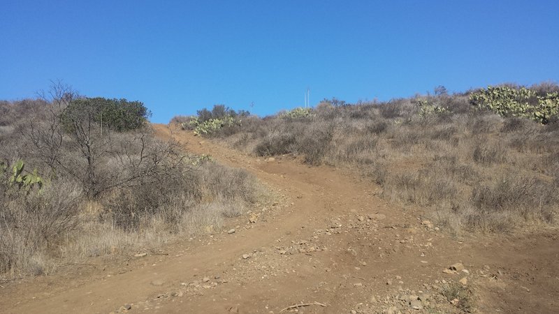 The steep section on the peninsula trail