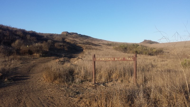 The east side of the trail is very technical going up - just on long rock garden all the way to the top