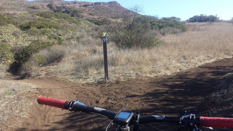 The bottom of outlaw trail. I would suggest turning left to climb the switchbacks.