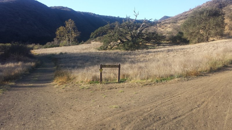 The turn into Western Plateau Trail. Straight will take you to Hawk Canyon