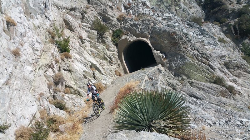 Exiting Mt. Lowe Tunnel.