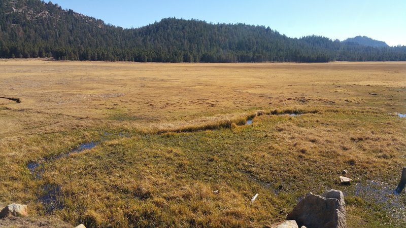 View of Big Meadow