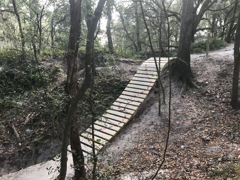 New ramp on Rollercoaster