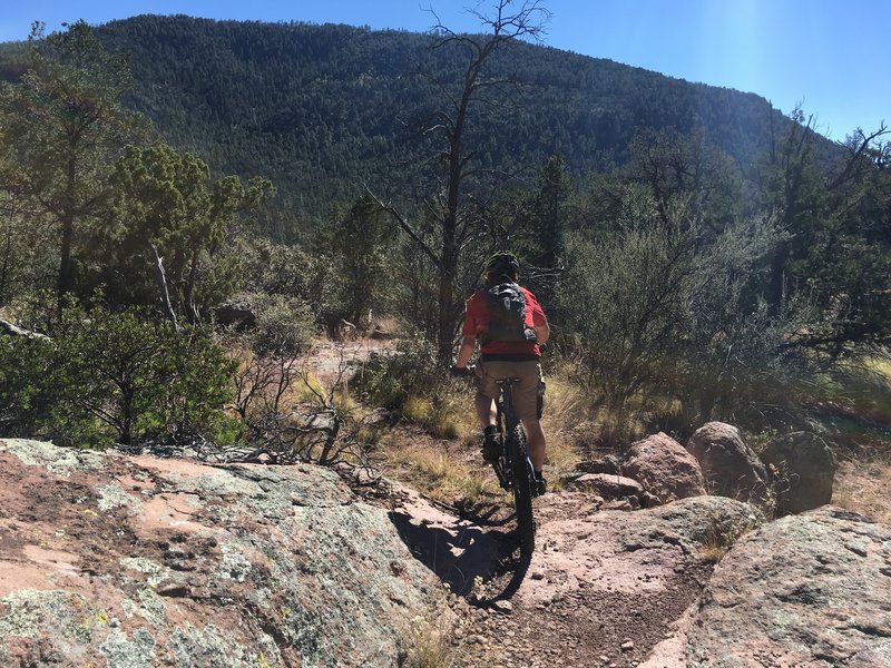 Jeff, getting ready to hit some technical terrain!