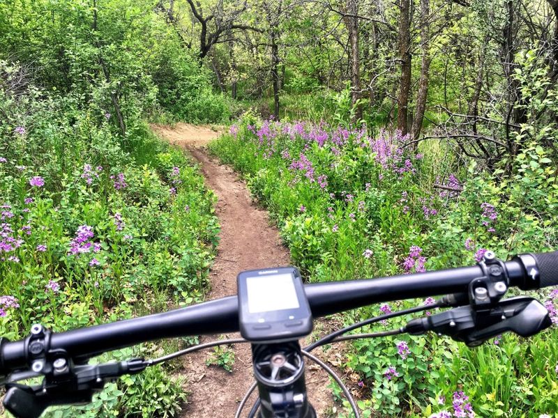 Epic Loop at Harmon Lake in late May.