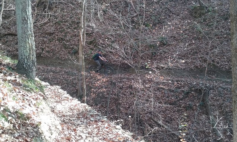 Bobcat trail keeping you on your toes