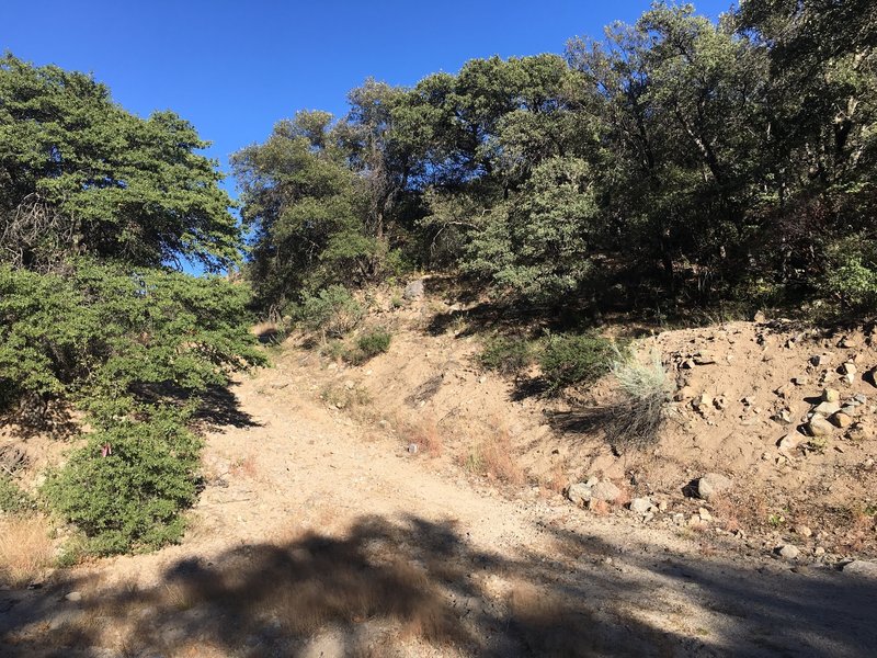 A hiking trail alongside the path.