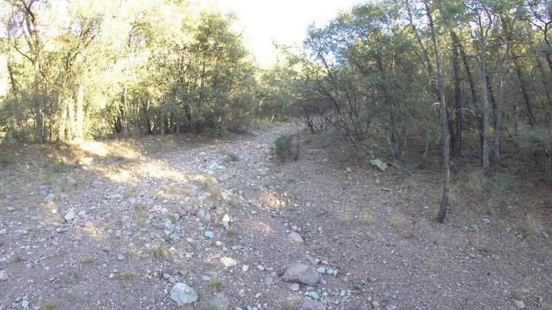 Huachuca Canyon Trail downhill