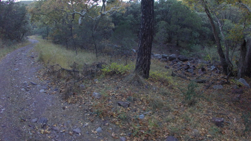 Nice rock wall along Huachuca Canyon Trail.