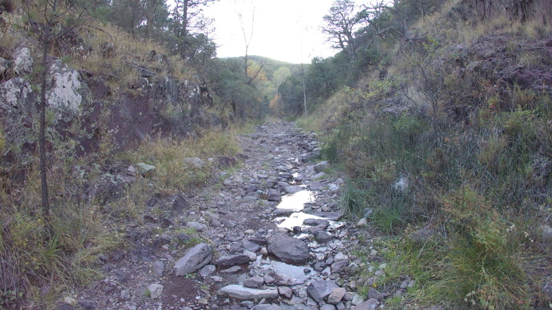 Somewhat technical riverbed trail along Huachuca Canyon Trail.