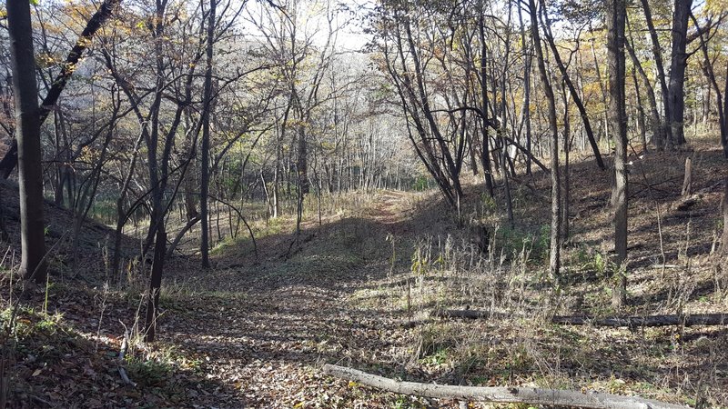 Looking down the hill.