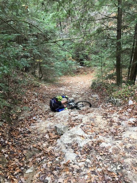 Kris Davis failing to clean the Sheltowee crux.