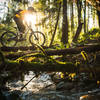 Crossing over the bridge on Lair of the Bear, Galbraith Mountain - Bellingham.