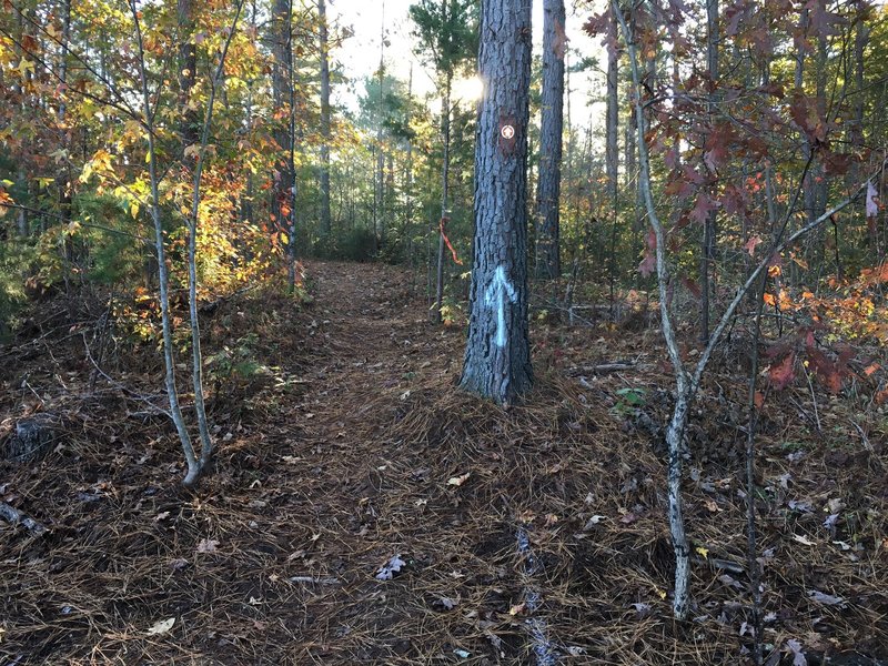 Trail crossing.