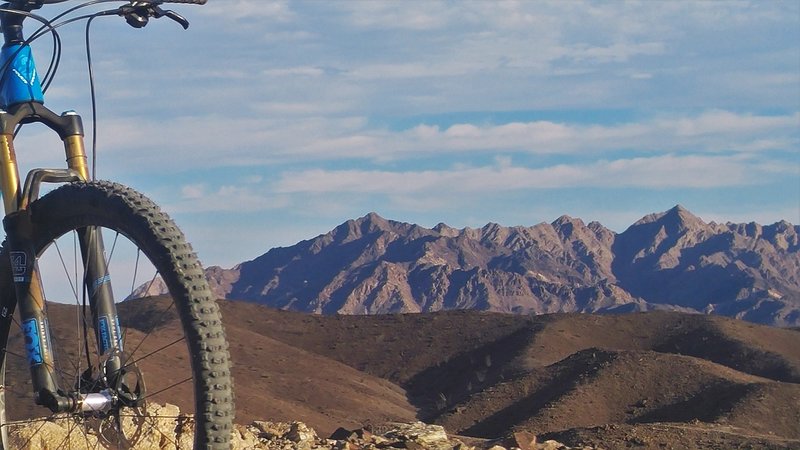 Beautiful Sonoran desert landscape.