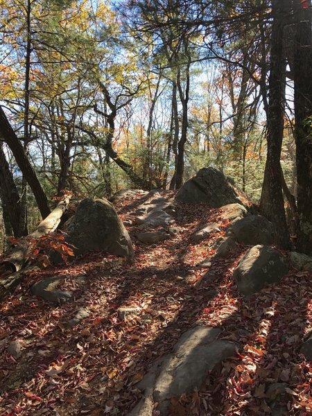 Headed downhill, there is a large rocky drop on the other side of this point.