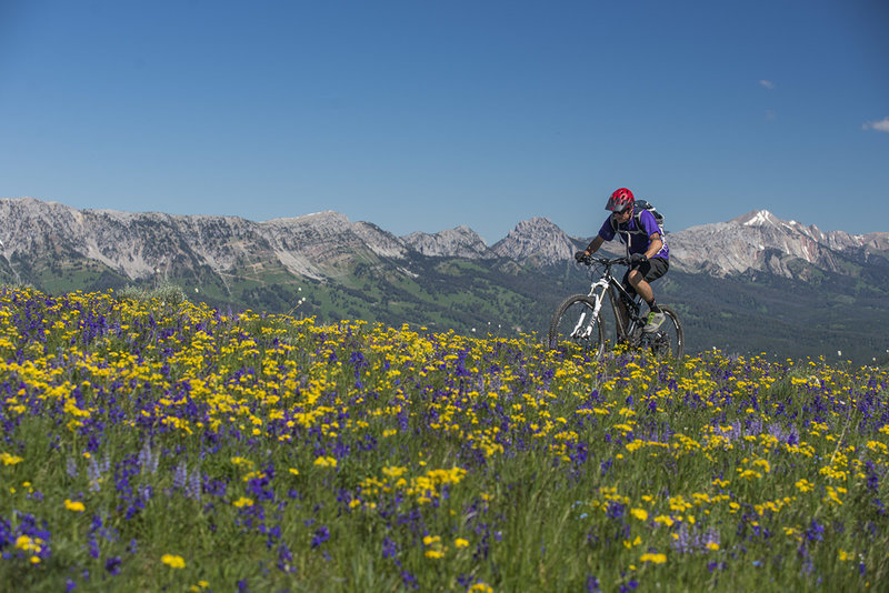 Views and wildflowers abound during a crisp springtime ride on the divide.