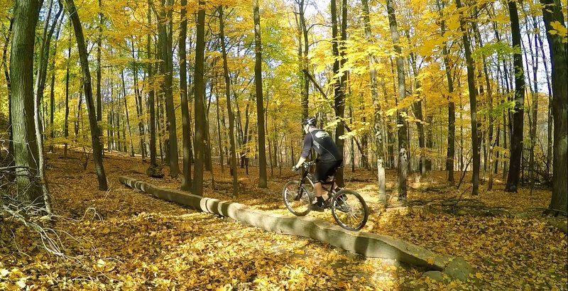 This sweet log ride is a side feature just off the Blue Trail.