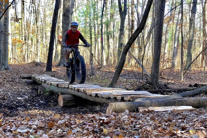 A rough-hewn bridge crossing the stream.