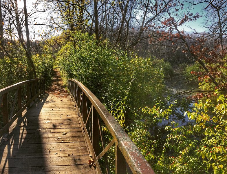 Great bridges on this trail!