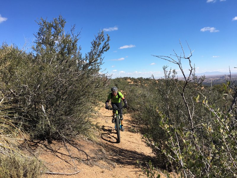 Peter pushing hard to make a summit near Hornbrook Mountain.