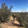 Peter pushing hard to make a summit near Hornbrook Mountain.