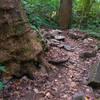 Rocks at the bottom of Heart Attack Hill.