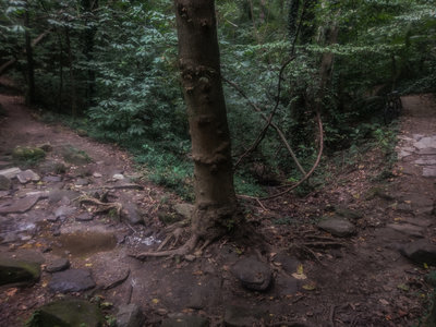 Rock garden creek bend.