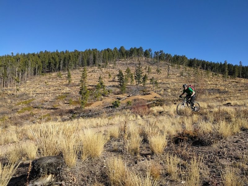 Riding the flowy section of the Blue Dot Trail.