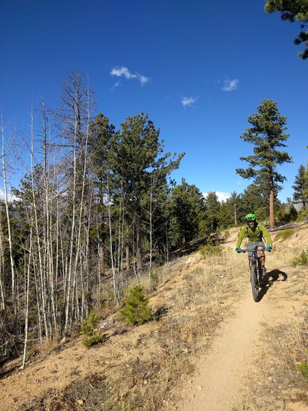 One of the tamer sections of the Blue Dot Trail.