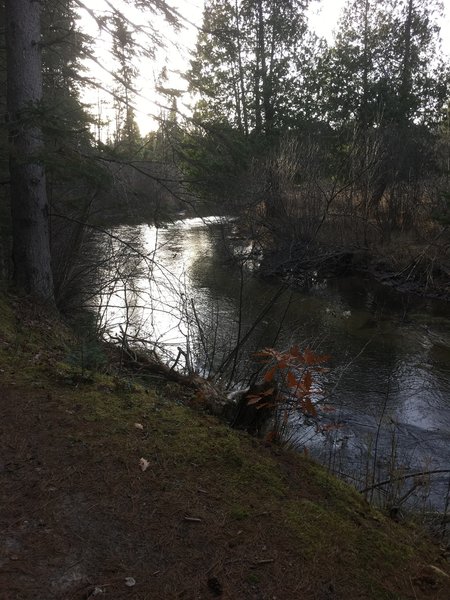 View of a bend in the Pigeon River.