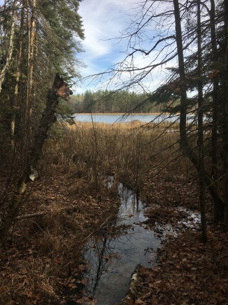 A creek flowing into Grass Lake.