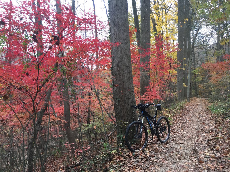 An incredibly beautiful area in the fall.