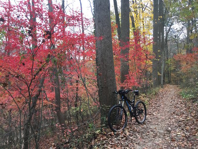 An incredibly beautiful area in the fall.