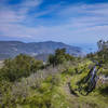 Singletrack on top of the Bric dei Monti with expansive views of Liguia and the Ligurian Sea.