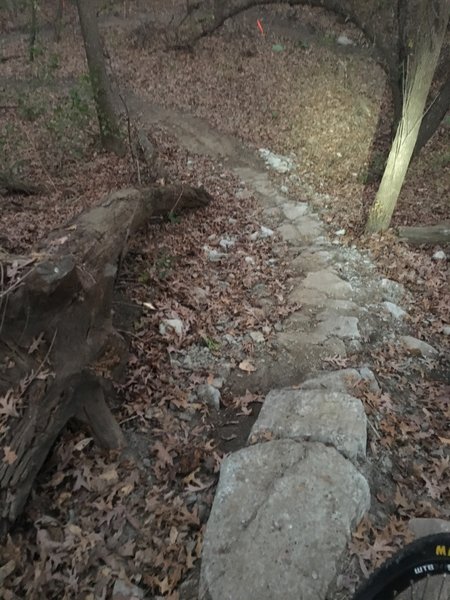 Steep downhill rock garden.