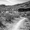 Beverly Canyon Trail.