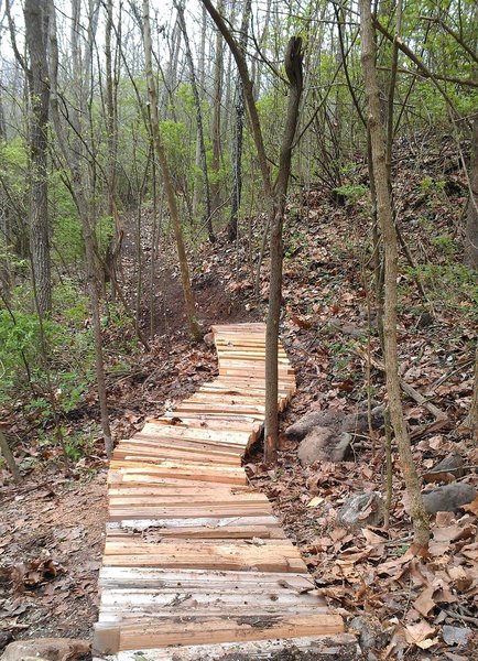 Elevated trail over natural springs.