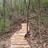 Elevated trail over natural springs.