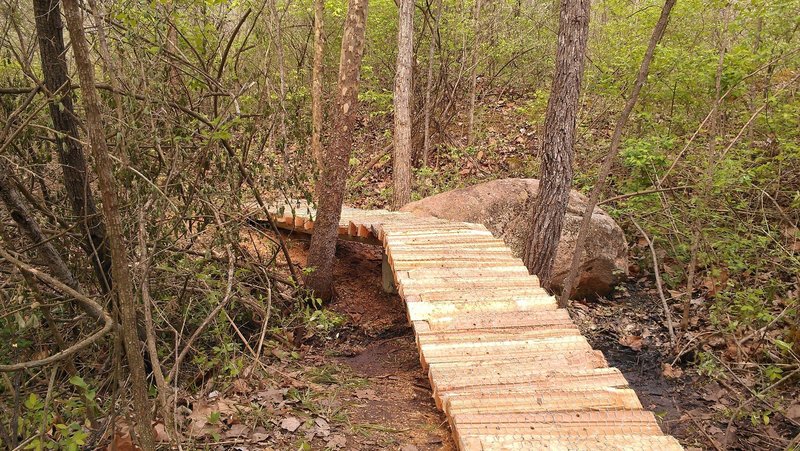 Elevated trail over a natural spring.