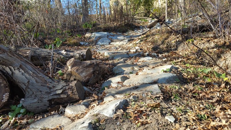 A rocky downhill.