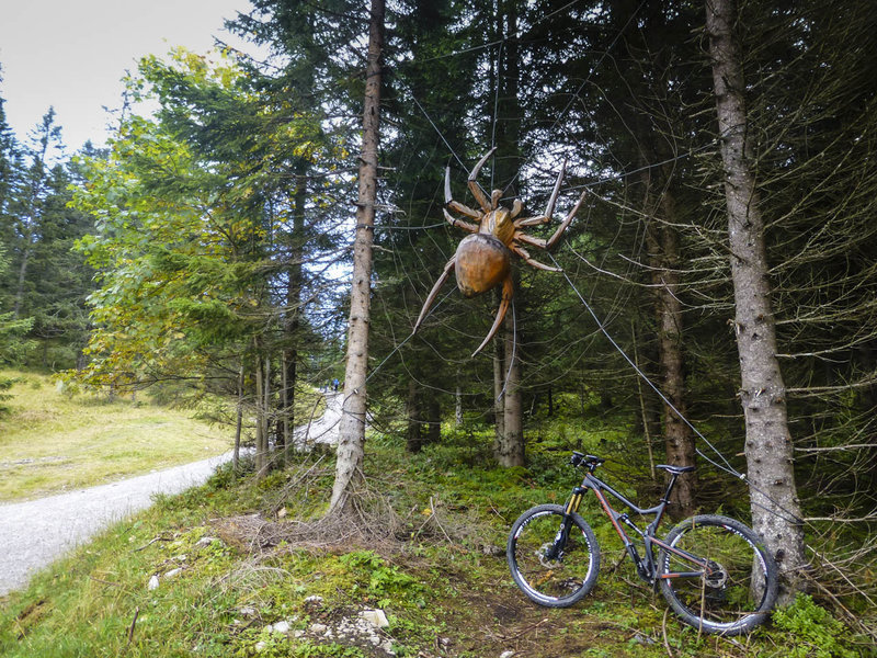 Sometimes you'll find that spiders have left webs bridging the trails overnight. There are spiders and then there are SPIDERS. Be mindful of man eating spiders along the Wettersteinrunde.