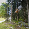 Sometimes you'll find that spiders have left webs bridging the trails overnight. There are spiders and then there are SPIDERS. Be mindful of man eating spiders along the Wettersteinrunde.