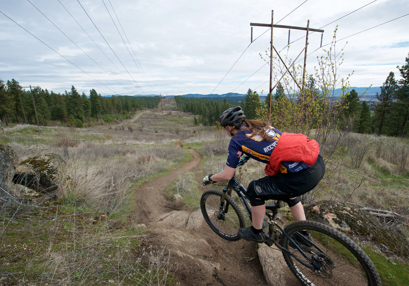 Vince's Tire Trail is short but it still manages to squeeze in some rocks.