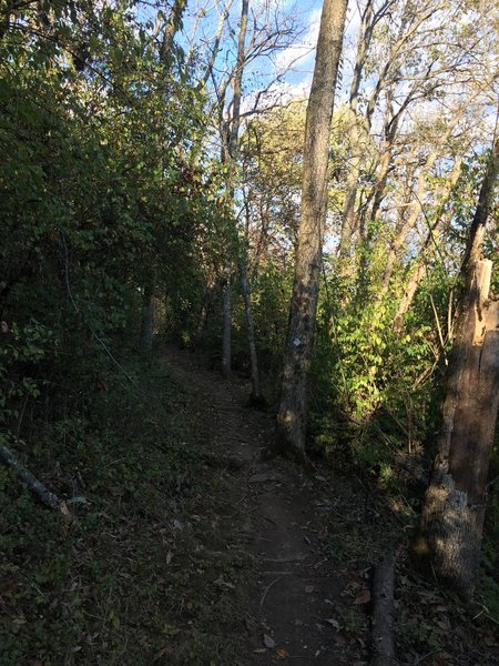 A nice climb in Capitol View Park