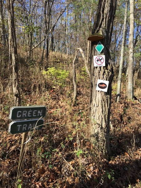 The Green Trail has some great obstacles like a super-high log roll and skinnies.